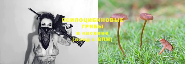 мяу мяу кристалл Верея