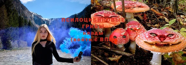 мяу мяу кристалл Верея