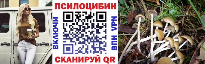 Псилоцибиновые грибы Cubensis  Кизилюрт 