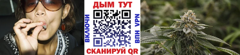 Шишки марихуана SATIVA & INDICA  купить наркоту  Кизилюрт 